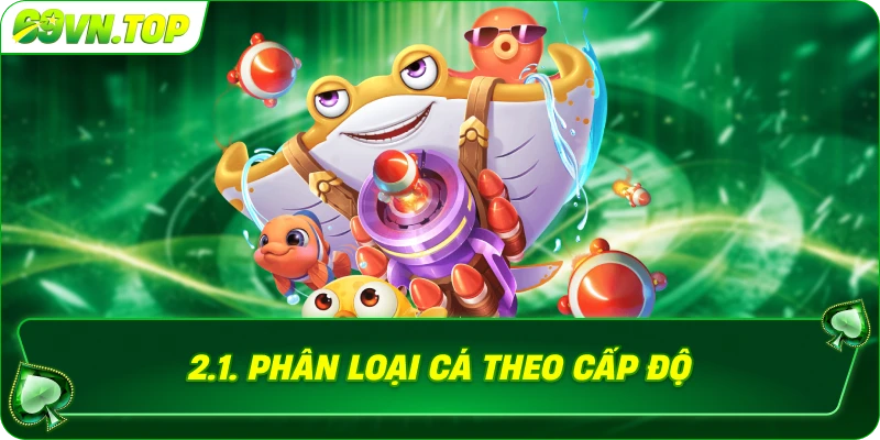 Phân loại cá theo cấp độ